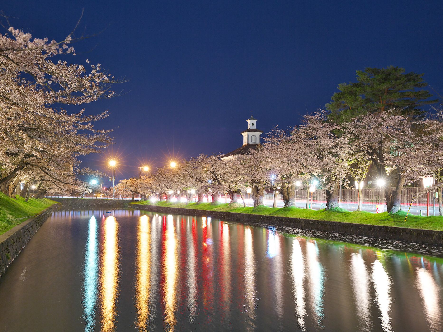 日本さくら名所100選「鶴岡公園」　2024年4月8日開花